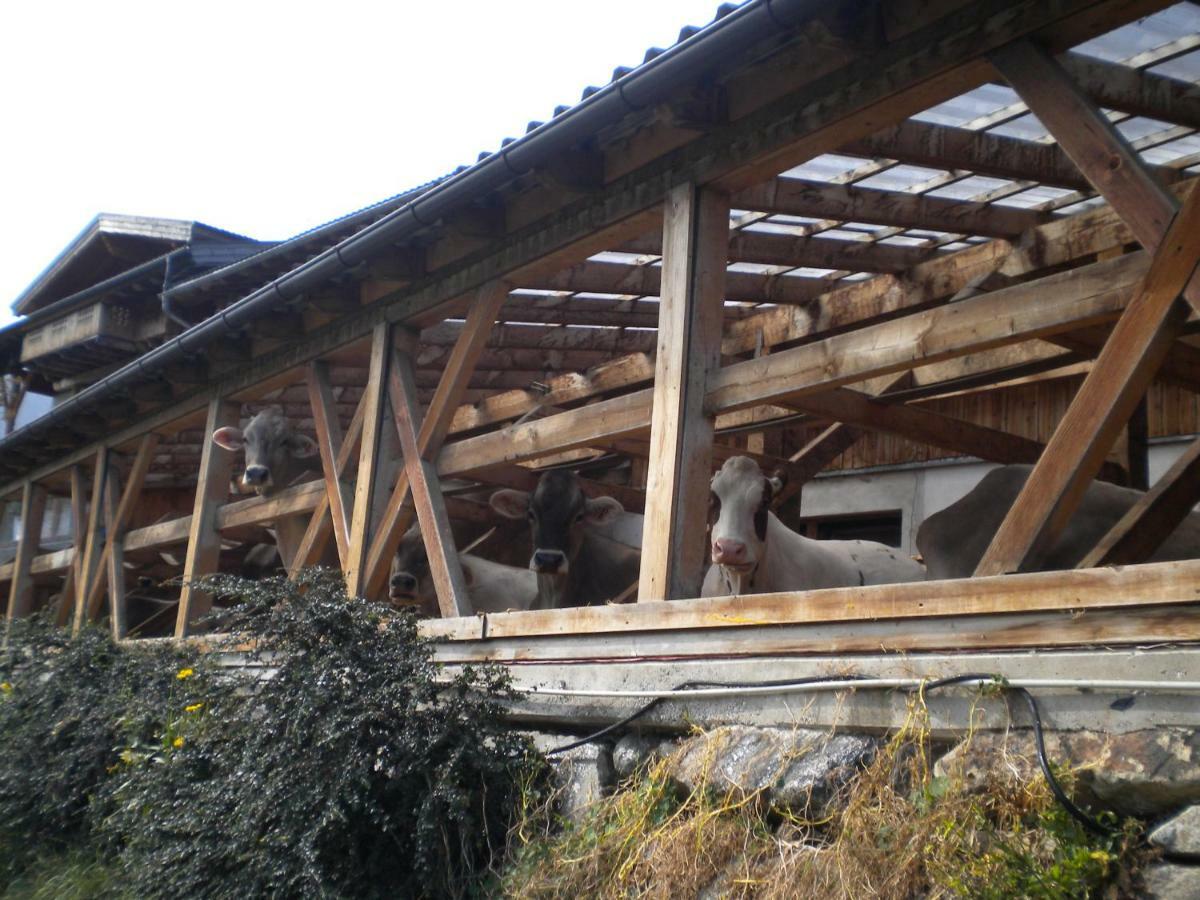 Séjour à la ferme Weberhof Trins